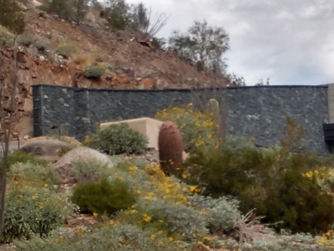  This is a picture of a decorative block wall in Henderson Nevada.